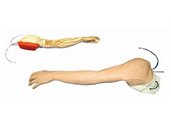 理工医学 完整静脉穿刺手臂模型